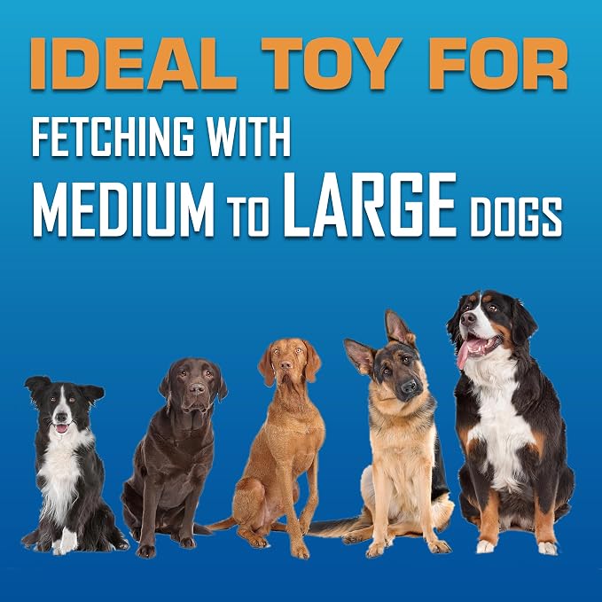 Nerf Dog Tire Flyer Outdoor Dog Toy, 10 Inch Flying Disc Dog Fetch Toy, Rubber Dog Toy for Medium Dogs and Large Dogs, Blue