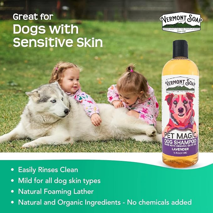 VERMONT SOAP Organic Pet Shampoo, Lavender Natural Dog Shampoo, 16 oz | Lavender scent, organic olive oil, coconut & aloe vera, soothing pet care, USDA Certified Organic, sensitive skin formula