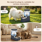 1.1 Gallon Pet Automatic Dog Water Dispenser Cat Gravity Waterer Feeder with Stainless Steel Bowl 8L Large Capacity Puppy Feeding Raised Bowls with Filter,Ice Pack (Charcoal Gray, 4L(1.1 Gallon))