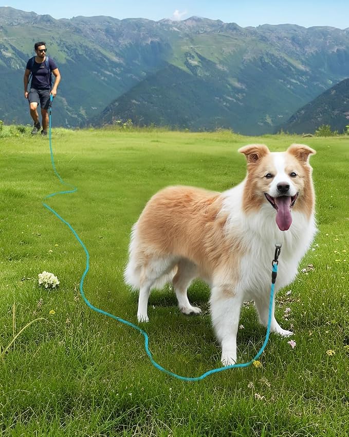 Joytale Long Dog Leash for Yard Tie Out & Recall Training, Blue, 15FT | Secure Locking Carabiner, Removable Padded Handle, Reflective Webbing for Night Safety, Ideal for Outdoor Play and Camping