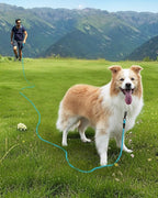 Joytale Long Dog Leash for Yard Tie Out & Recall Training, Blue, 15FT | Secure Locking Carabiner, Removable Padded Handle, Reflective Webbing for Night Safety, Ideal for Outdoor Play and Camping