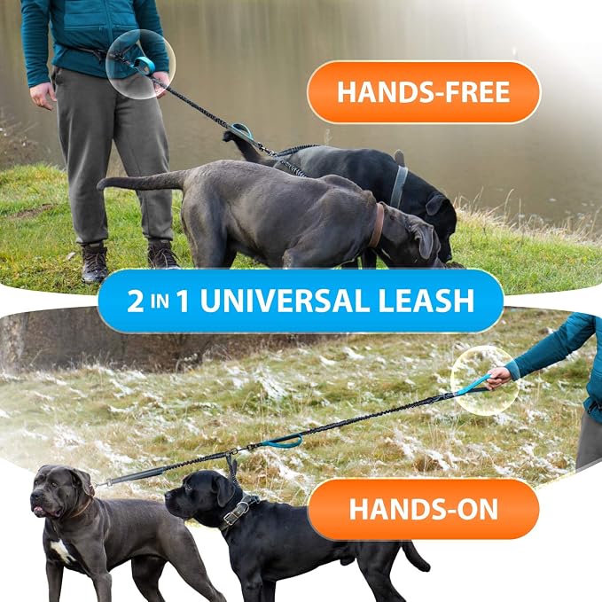 SparklyPets Hands Free Double Dog Leash – Dual Leash for Medium and Large Breeds – Lead for 2 Dogs with Padded Handles, Reflective Stitches, No Pull, Tangle Free