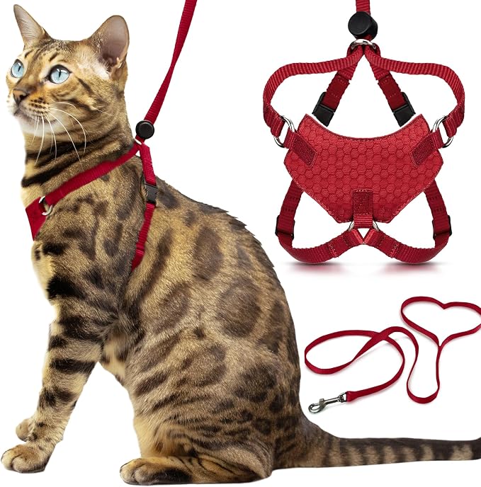 Houdini™ Escape Proof Kitten Harness and Leash (Red, S) | Adjustable walking vest with 6ft lead, breathable mesh, snug secure fit, light and gentle for first outdoor adventures