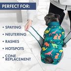 Spark Paws Dog Surgery Recovery Suit – Dog Recovery Suit After Surgery, Anti-Lick Dog Onesie, Abdominal Wound Protector, Soft Cone Alternative for Spay Neuter Male Female Pet Recovery - Dinosaurs, 5XL