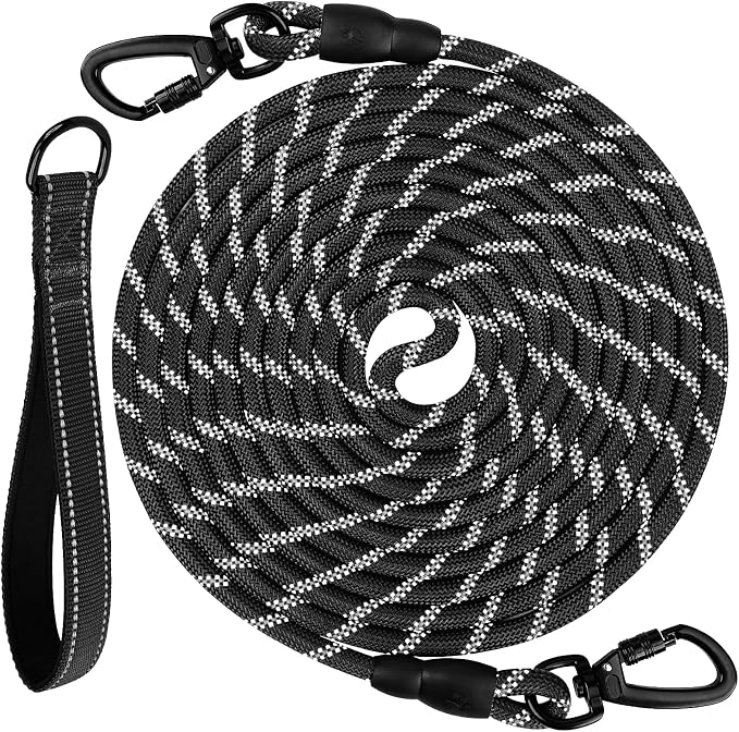 Joytale Long Dog Leash for Yard Tie Out & Recall Training, Black, 15FT | Secure Locking Carabiner, Removable Padded Handle, Reflective Webbing for Night Safety, Ideal for Outdoor Play and Camping