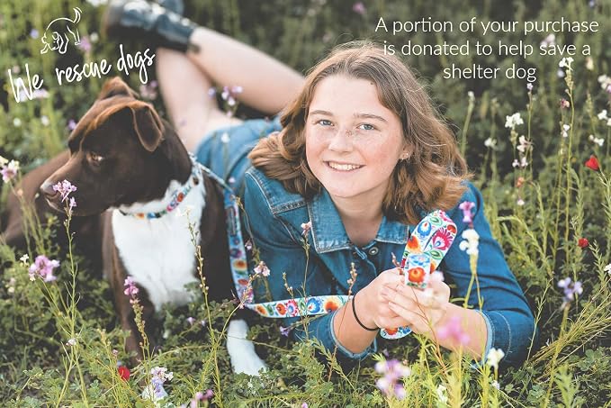 Lucky Love Dog - Easy Click Buckle Dog Collar with Leash Set Combo, Durable & Comfortable for Male & Female Dogs, Pet Collar for Large Dogs, Secure Fit - Ladybird Combo, Large