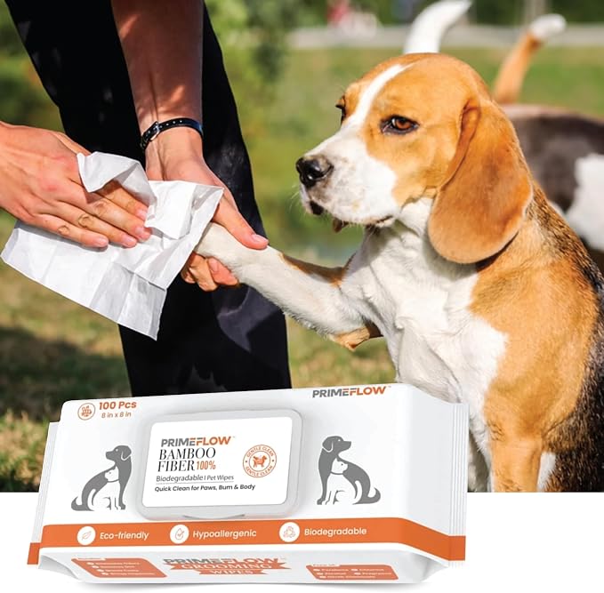 Pet Wipes for Dogs & Cats 100% Bamboo Grooming Wipes, 100 Count | Alcohol-Free, Fragrance-Free 8 x 8 in Plant-Based Wipes for Paws, Body, Face & Rear | Lab-Tested
