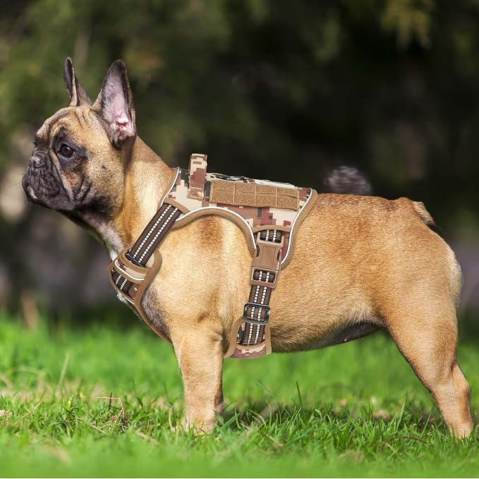 Beebiepet Heavy Duty Tactical Dog Harness for Small Dogs, No Pull Adjustable Pet Harness Reflective Service Training Easy Control Pet Vest Military K9 Working Dog Harnesses- Small, Desert Camo