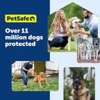 PetSafe Classic In-Ground Fence Collar | Collar Only, Replacement, Extra, Add-A-Dog, Tone, Vibration & Static, Waterproof, Rechargeable, Dogs & Cats 5 lb+