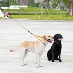 iYoShop Dual Dog Leash - 360° Swivel, No Tangle Walking Leash with Shock Absorbing Bungee for Two Dogs (Large, 25-150 lbs, Orange)