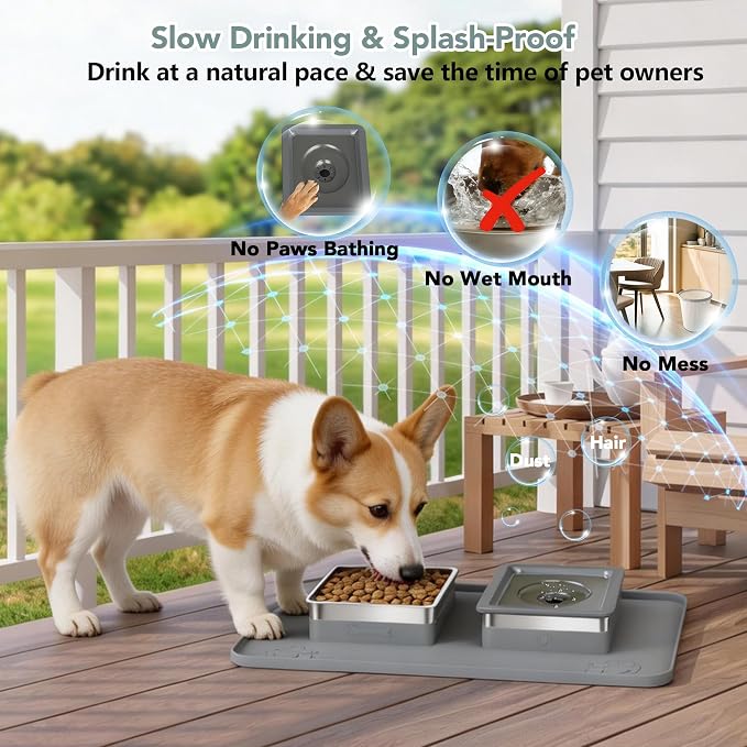 Dog Bowl Set, No Spill Dog Water and Food Bowl with Silicone Mat | Large Capacity 304 Stainless Steel Bowls, 2-In-1 Set, Slows Drinking, Anti-Slip Silicone Feeding Mat, Home/Travel, 6-7 Cups