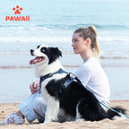 Pawaii No Pull Dog Harness with Pet ID Tag, Reflective Vest | Built for safer walks with a QR Pet ID Tag, front no pull clip, reflective trim, control handle and breathable mesh lining
