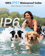 Dog Shock Collar 2 Pack, Rechargeable Dog Training Collar with Remote for Large Medium Small Dogs, 3300FT Waterproof Shock Collar with Beep Vibration and Shock Modes