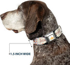 Dog Collar Seatbelt Buckle Pocahontas and Meeko Compass Pose with Script and Leaves Beige 15 to 24 Inches 1.0 Inch Wide | Pocahontas and Meeko Compass with Script and Leaves Beige Durable Metal Adjustable ID Tag Ring