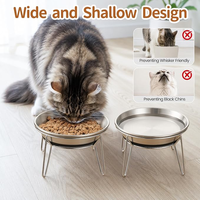 WROSWT Elevated Cat Bowls, 304 Stainless Steel Raised Cat Food Bowl, Wide Shallow Anti-Vomiting Cat Dish for Whisker Fatigue Relief, Non-Slip Silicone Base Dishes for Solo Use, 2 Set
