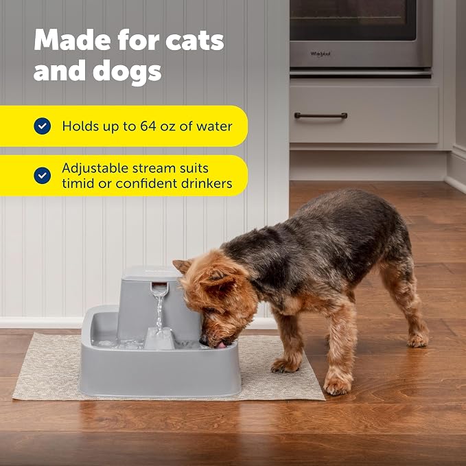 PetSafe Oasys Pet Fountain, 1/2 Gallon, Cats & Small Dogs, 4-Pack Filters | Adjustable Flow Control, Open Bowl, Whisker-Friendly Tray, Replaceable Carbon & Foam Filters Included