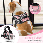 Service Dog Vest Harness and Leash Set, Animire in Training Dog Harness with 10 Dog Patches, Reflective Dog Leash with Soft Padded Handle for Small, Medium, Large, and Extra-Large Dogs(Pink,M)