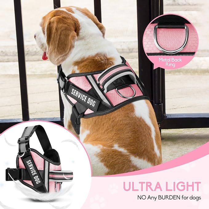 Service Dog Vest Harness and Leash Set, Animire in Training Dog Harness with 10 Dog Patches, Reflective Dog Leash with Soft Padded Handle for Small, Medium, Large, and Extra-Large Dogs