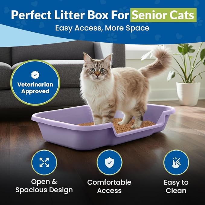 KittyGoHere Senior Cat Litter Box, Large with Jumbo Scoop, Storybook Lavendar