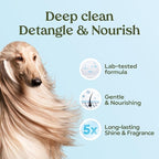 PAWFUME Dog Shampoo and Conditioner, Blue Ribbon, 1-Pack – Nourish & Detangle for a Silky Soft Coat – Probiotic, Deep-Cleaning, pH-Balanced Formula – Puppy Shampoo and Conditioner for All Breeds