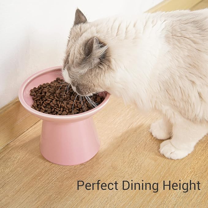 CEEFU 2-Pack Extra Wide Elevated Ceramic 6.2" Shallow Cat Food Bowls | Cat Dish for Whisker Fatigue Relief, 5" Height for Easy Feeding, Durable Raised, Pink