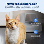 PetSafe ScoopFree Crystal Pro Legacy Front-Entry Self-Cleaning Litter Box | Hands-Free Automatic Cleaning, Advanced Odor Control, Health Counter Display, Includes 1 Disposable Crystal Litter Tray