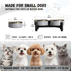 Elevated Ceramic Dog Bowl Set - Double Dishes with Stainless Steel Stand – Raised Feeding Bowls for Cats and Small Dogs - Food & Water Set - 5" / 1.6 Cups (160 g / 300 ml) - Gray