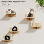 13-in-1 Cat Wall Shelves, Moon & Bridge Cat Wall Furniture, Beige | Wall Mounted Cats Shelf Set with Plush Fabric, Cat Climbing Systems for 16 Inch Drywall, Condo, Scratching Post, Space-Saving
