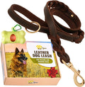 ADITYNA Leather Dog Leash with Traffic Handle, 6ft, Medium & Small Dogs | Heavy-duty braided leather leash, 5/8" width x 6ft, Double handle for extra control, ideal for training & busy sidewalks.