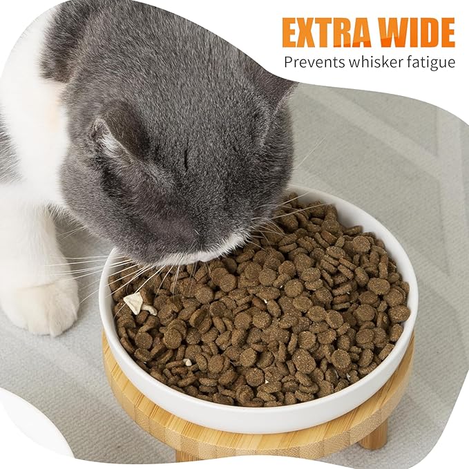 Lusifaco Shallow Wide Elevated Cat Bowls Whisker Fatigue (Blue,Set of 2) | 5.9 Inch 2 Height Raised Ceramic Cat Dishes with Bamboo Stand, Flat Pet Water Food Plates Feeding Station for Indoor Kitten
