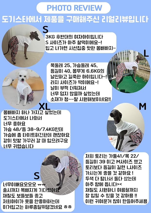 D Doggy Star Italian Greyhound Clothes Mombbe Onesie Outfit Whippet for Dog Coat (2XL,Mombbe Orange)
