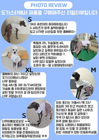 D Doggy Star Italian Greyhound Clothes Mombbe Onesie Outfit Whippet for Dog Coat (M,Mombbe Black)