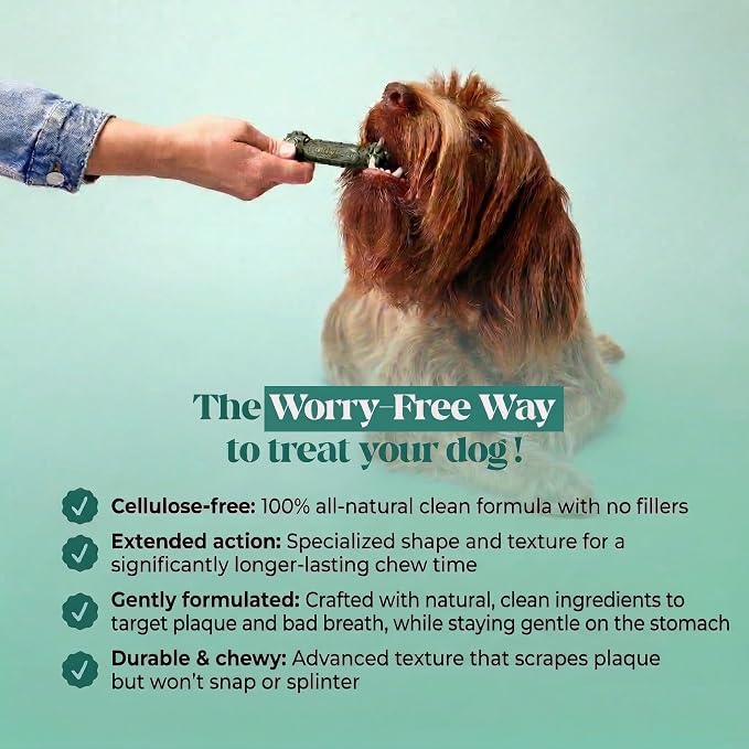 Brush Buddies Long Lasting Dog Dental Chews - All Natural Dental Sticks for Teeth Cleaning Plaque Off + Tartar Remover for Dogs - Dog Dental Treats + Breath Freshener - Medium Sized Dogs (15 Count)