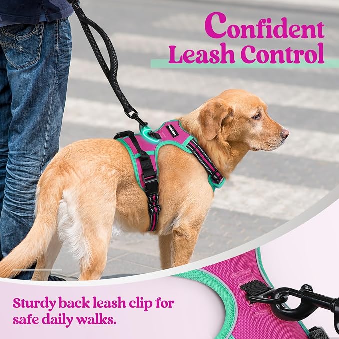rabbitgoo Dog Harness, No Pull Medium Sized with 2 Leash Clips, Pet Vest | No Choke with Handle, Adjustable Soft Padded, Reflective, Easy Control for Walking, Hot Pink & Turquoise, Medium