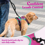 rabbitgoo Dog Harness, No Pull for Large Dogs with 2 Leash Clips, Pet Vest | No Choke with Handle, Adjustable Soft Padded, Reflective, Easy Control for Walking, Hot Pink & Turquoise, X-Large
