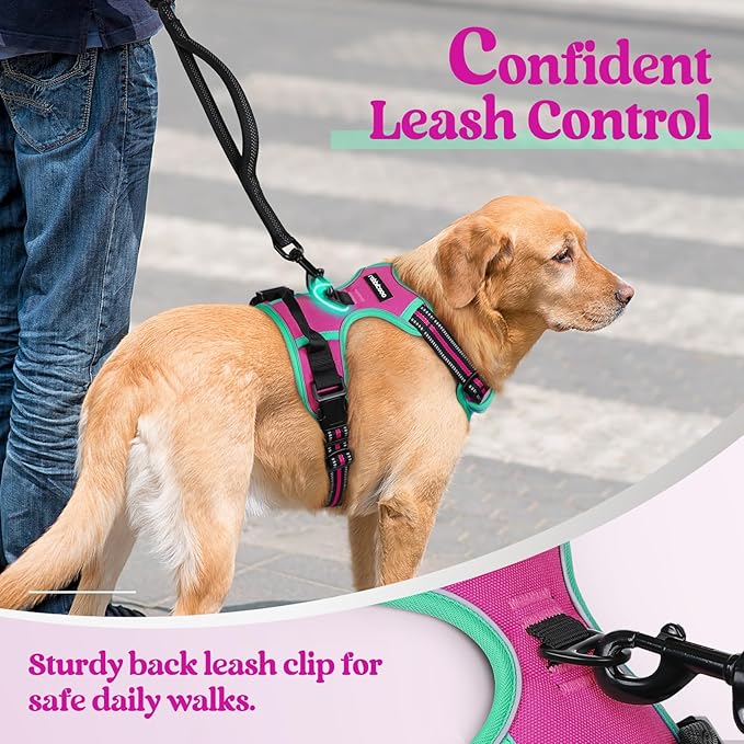 rabbitgoo Dog Harness, No Pull for Large Dogs with 2 Leash Clips, Pet Vest | No Choke with Handle, Adjustable Soft Padded, Reflective, Easy Control for Walking, Hot Pink & Turquoise, Large