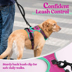 rabbitgoo Dog Harness, No Pull for Large Dogs with 2 Leash Clips, Pet Vest | No Choke with Handle, Adjustable Soft Padded, Reflective, Easy Control for Walking, Hot Pink & Turquoise, Large