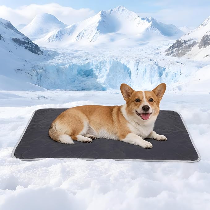 Cooling Blanket for Dogs - Q-MAX>0.4 Waterproof Pet Throw Blanket Bed Cover, Non-Slip Dog Blankets for Couch Protector, Washable Furniture Cover for Summer, Grey,30x40