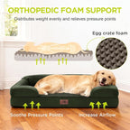 Waterproof Orthopedic Dog Bed for Extra Large Sized Dogs | Memory Foam Pet Bed Sofa with Bolster, Dog Couch with Washable Cover & Non-Slip Bottom, 48x30 Inch, Oliva Green