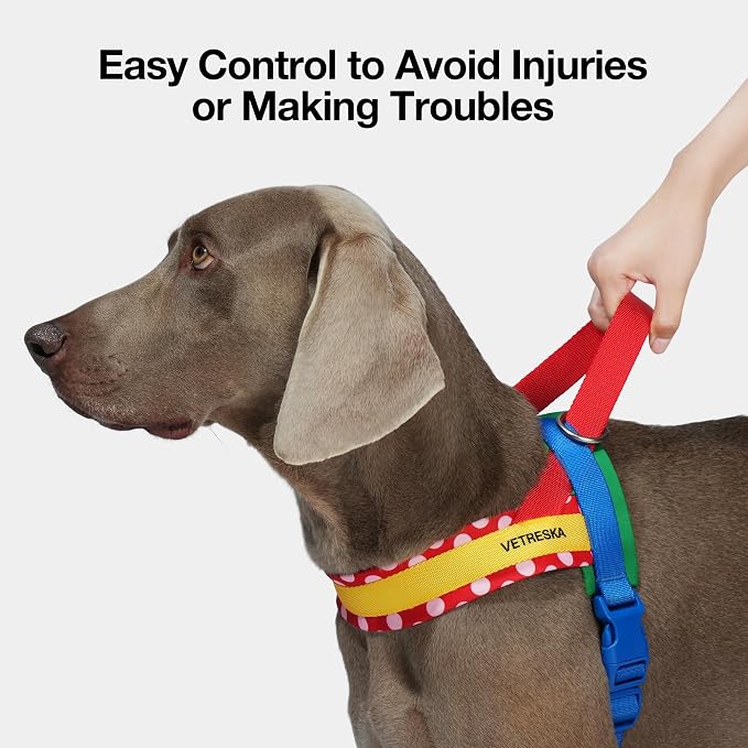 VETRESKA MoMA Dog Harness and Leash Set, Easy Walk Dog Harness (Red, XS) | for Small Medium Dogs, No Pull Puppy Harness for Walking and Training, Adjustable, Take Control & Anti-Twist Pet Lead Combo