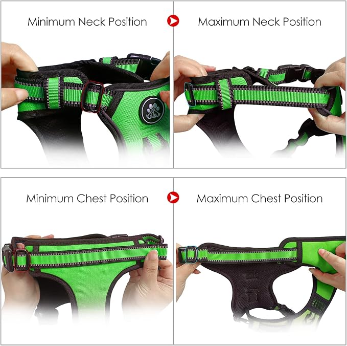 NESTROAD No Pull Dog Harness,Adjustable Oxford Dog Vest Harness with Leash,Reflective No-Choke Pet Harness with Easy Control Soft Handle for Small Dogs(Small,FluorescentGreen)