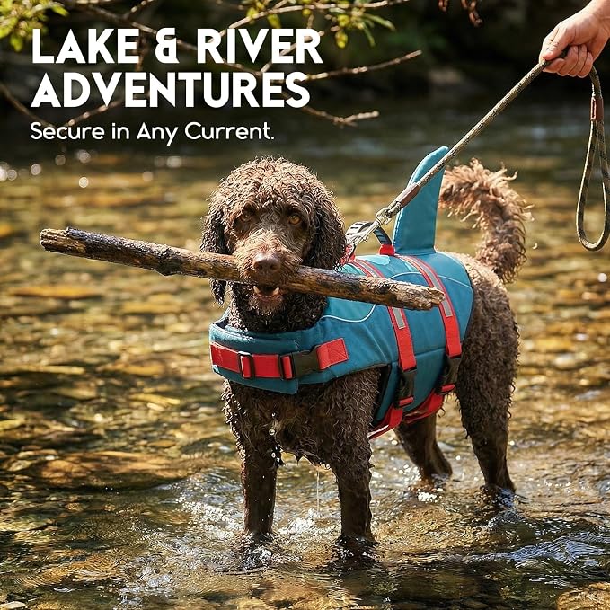 ASENKU Dog Life Jacket - Pet Safety Vest for Swimming & Boating, Shark Life Jacket with Floatation, Dog Lifesavers Swimsuits for Small Medium Large Dogs (ForestGreen, S)