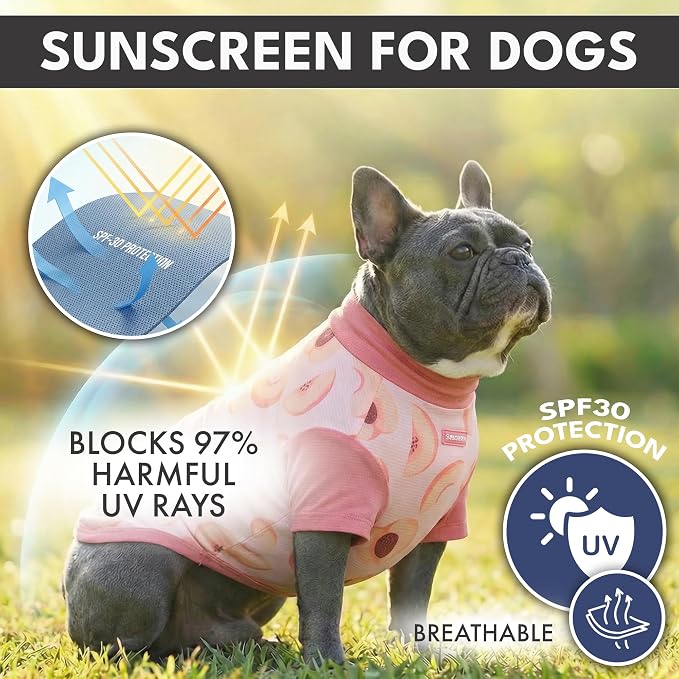 Spark Paws Sunblock Dog T-Shirt, SPF30 Protection, Lightweight Breathable Quick Dry for Dogs with Sensitive Skin - Berries & Peaches (Set of 2) - Size S