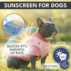 Spark Paws Sunblock Dog T-Shirt, SPF30 Protection, Lightweight Breathable Quick Dry for Dogs with Sensitive Skin - Berries & Peaches (Set of 2) - Size XL