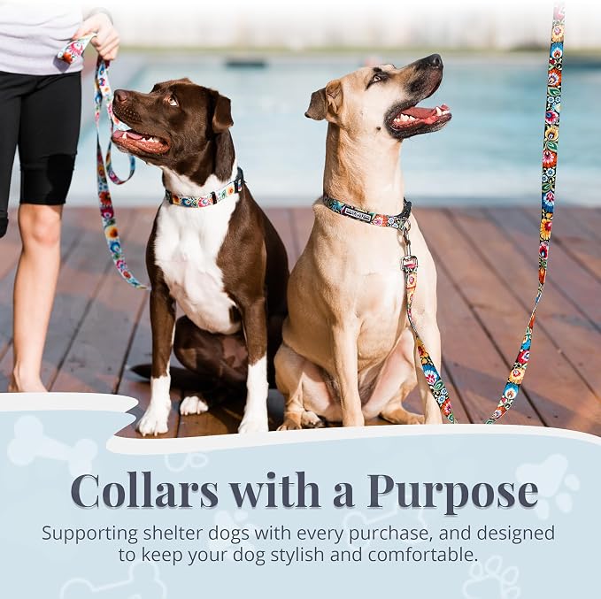 Lucky Love Dog - Adjustable Dog Collar with Easy Click Buckle for Large Ones, Durable, & Comfortable for Male & Female Dogs, Pet Collar for Puppies & Adult Dogs - Blackbird, Extra Large