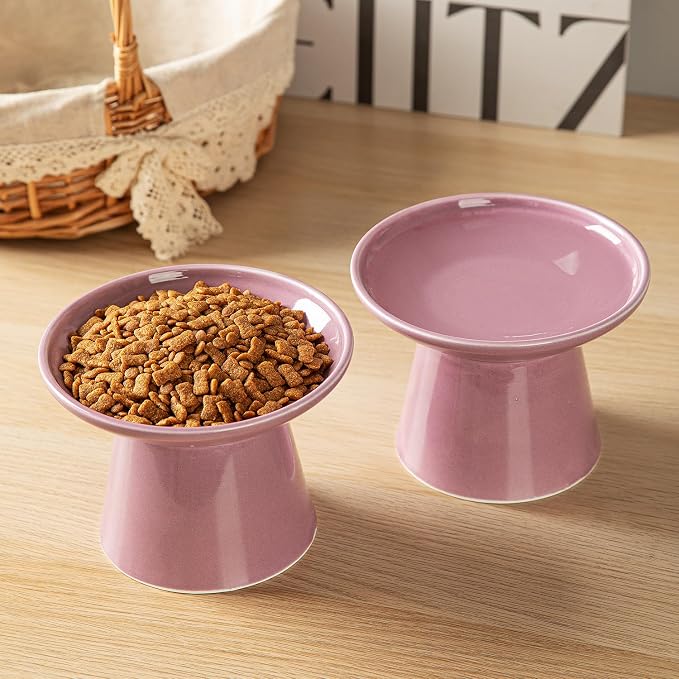 Ceramic Elevated Cat Bowls - 6.2 Inch Extra Wide Raised Cat Food and Water Bowl Set for Indoor Cats, Whisker-Friendly Ceramic Cat Dish for Elder Big Cats & Small Dogs,Dark Purple,2 Pack