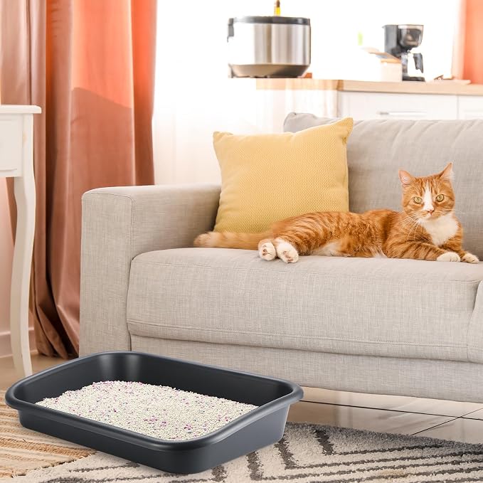 Uiifan 3 Pcs Extra Large Low Entry Cat Litter Box for Senior Kitty Pet Open Top Litter Box for Senior Kitten Handicap Disabled Older Elderly Cats, Easy to Clean(Dark Gray,23.2 x 16.5 x 4.3 Inches)