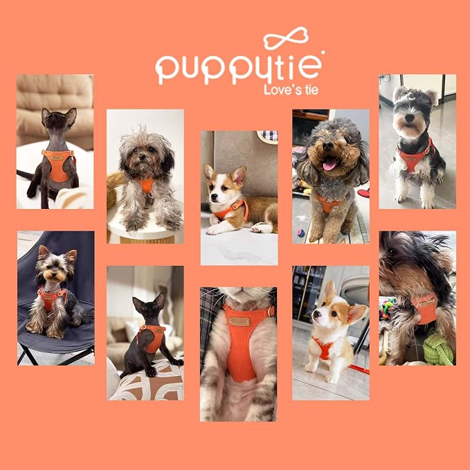 Puppytie Small Dog Harness with Multifunction Dog Leash,Lightweight Soft Adjustable No Choke Escape Proof Pet Harness Vest Pet Harness Vest,Orange,S