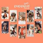 Puppytie Dog Harness and Leash Set, Orange, M (16.5-31 lbs) | Harness Small Size Dog, Dog Leash for Small Dogs, Soft Lightweight and Adjustable, Small Dog Harness for Daily Walks