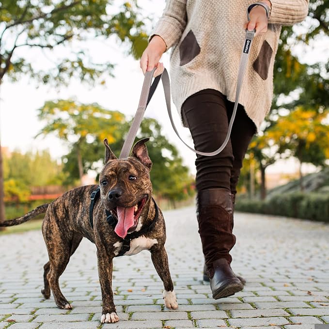 PetiFine 4FT Heavy Duty Dog Leash with Soft Padded Double Handle | Traffic Handle Extra Control,Auto Lock Hook,Reflective Nylon Walking Lead for Large,Medium,Small Breed Dogs